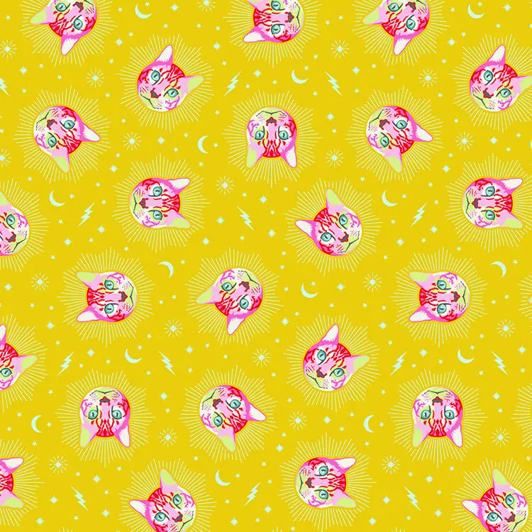 TISSU PATCHWORK 50 x 110 cm CURIOUSER AND CURIOUSER DE TULA PINK -cheshire-wonder